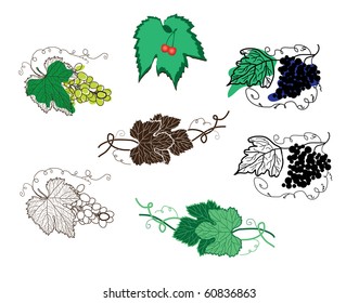 floral grape elements, for your design