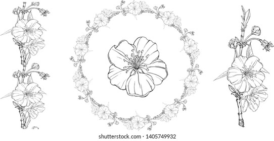 floral graphic composition with spring flowers