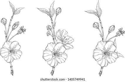 Blumenbildkomposition mit Frühlingsblumen