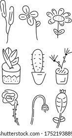 Floral Graphic Doodle Elements Set. Set of hand drawn doodle floral vector elements.