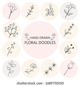 Floral graphic elements big vector set. Flowers and plants hand drawn illustrations. Vintage botanical illustrations.