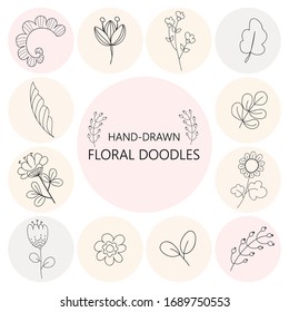 Floral graphic elements big vector set. Flowers and plants hand drawn illustrations. Vintage botanical illustrations.