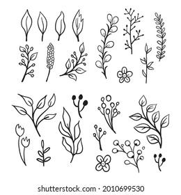 Floral graphic elements big vector doodle set. Flowers and plants hand drawn illustrations. Branches and leaves.