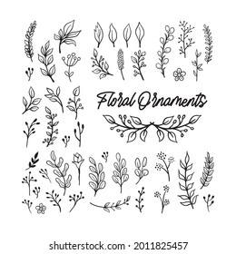 Floral graphic elements big vector doodle set. Flowers and plants hand drawn illustrations. Branches and leaves.