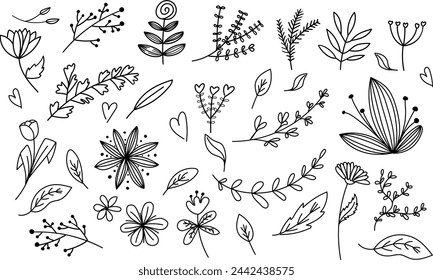Floral graphic elements big vector set. Flowers and plants hand drawn illustrations
