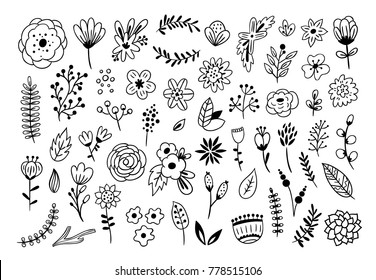 Floral graphic elements big vector set. Flowers and plants hand drawn illustrations