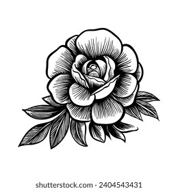 Floral graphic elements, doodle style. Flowers and plants hand drawn illustrations
