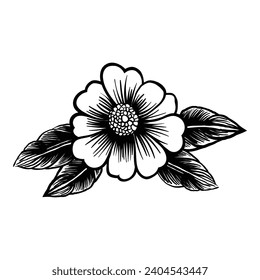 Floral graphic elements, doodle style. Flowers and plants hand drawn illustrations
