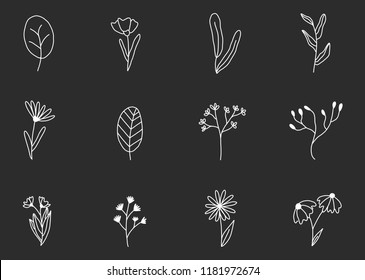 Floral Graphic elements Set. Set of hand drawn floral vector elements. Isolated.