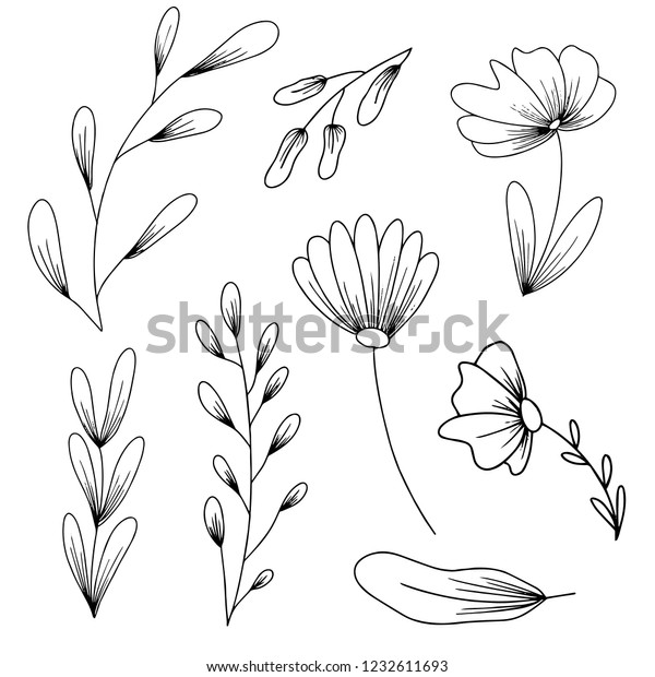 Floral graphic elements set. Hand drawn floral\
botanical herbs and plants. Flowers and leaves. Can be used for\
coloring book pages.