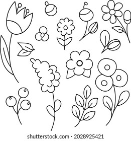 Floral graphic elements vector set. Flowers and plants hand drawn illustration