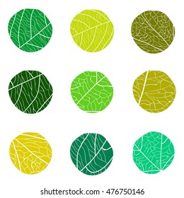 Floral green vector pattern. Curve circles with white veins inside. The concept for logo.