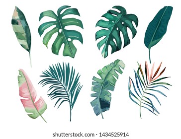 Floral greenery set with eucalyptus branch. Vector illustration