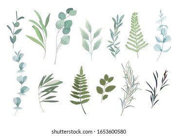 La vegetación floral está rodeada de ramas de eucalipto. Ilustración del vector