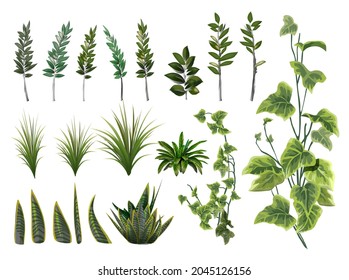 Floral greenery set with eucalyptus branch and herbs on white background. Botanical collection. Vector illustration