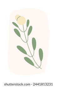 Floral greeting card background. Flower abstract banner template. Cover with decoration. Vector flat illustration.