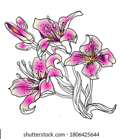 Floral greeting card with bouquet of hand drawn Lily flowers in full bloom isolated on white background. Perfect for printing, postcard, wedding invitation, poster, home decor.  Vector Illustration.