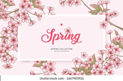 Floral Greeting Card, Cherry Blossom Illustration, Spring Flower Background / Poster / Banner. 