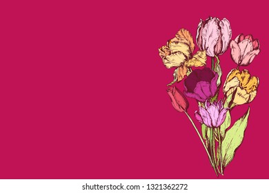 Floral Greeting Card. Hand Drawn. Vector illustration