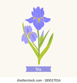 Floral greeting card. I for Iris.