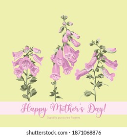 Floral greeting card from March 8. Foxglove flower drawings. Sketch Floral Botany Collection.  Realistic line art on white backgrounds. Hand Drawn Botanical Illustrations. Nature Vector.