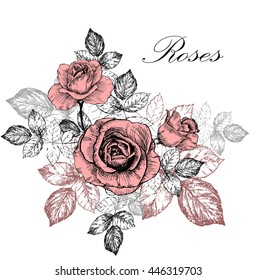 Floral greeting card rose vector