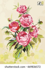 Floral greeting card or template for Valentine's Day design with pink Peony flower, eps8