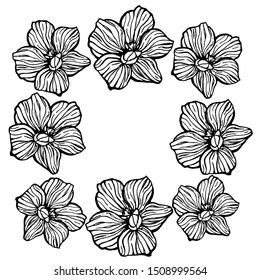 Floral greeting card vector template. Frame with hand drawn flowers illustrations. Border for text. Wedding invitation, holiday poster