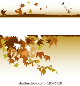 floral grunge background