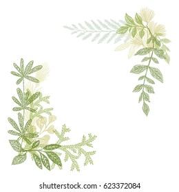 Floral hand drawing, green leaf composition. Vector greenery branches isolated on white background. Floral border decoration elements for cards