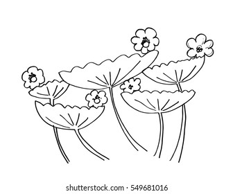 Floral hand drawing illustration. Decorative style.
