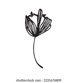 Vectorform mit Blumenhandzeichnung