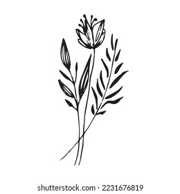 Floral Hand Drawing Vector Shape