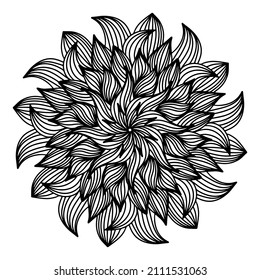 Floral, hand drawn aster mandala flowers in doodle style isolated on white background. Funny and cute coloring for seasonal design, textile, decoration kids playroom or greeting card. Chrysanthemum.