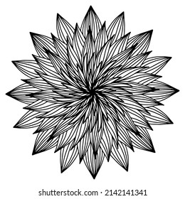 Floral, hand drawn aster mandala flowers in doodle style isolated on white background. Сoloring page for adult and kids, decorating kids playroom or greeting card. Chrysanthemum, Lotus.