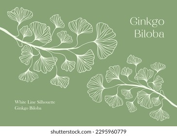 Floral hand drawn background. Botanical line art wallpaper with flowers. Hand drawn white Silhouette of ginkgo biloba tree isolated on white, texture for banner, prints, wall art and home decor