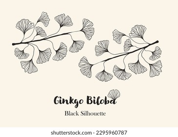 Floral hand drawn background. Botanical line art wallpaper with flowers. Hand drawn ginkgo biloba set, texture for banner, prints, wall art and home decor, wallpaper, decorative hand drawn flower