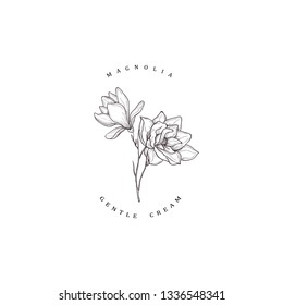 Elementos de diseño dibujados a mano floral. Arte de líneas aislado en el fondo blanco.