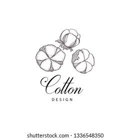 Elementos de diseño dibujados a mano floral. Arte de líneas aislado en el fondo blanco.
