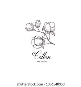 Elementos de diseño dibujados a mano floral. Arte de líneas aislado en el fondo blanco.