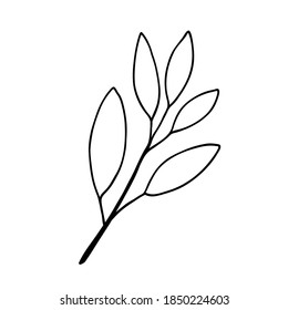 Floral hand drawn doodle icon for social media story. Ink drawn branch