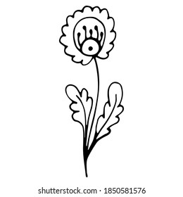 Floral hand drawn doodle icon for social media story