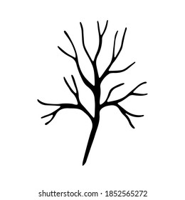 floral hand drawn doodle icon for social media story. Hand drawn branch without leaves isolated on white