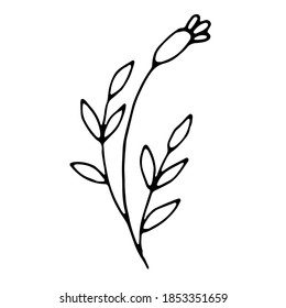 Floral hand drawn doodle icon for social media story