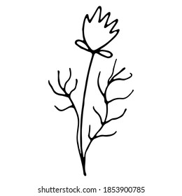 Floral hand drawn doodle icon for social media story