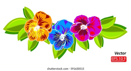 Floral  Hand drawn element design of flowers pansy, isolated on white background, vector illustration