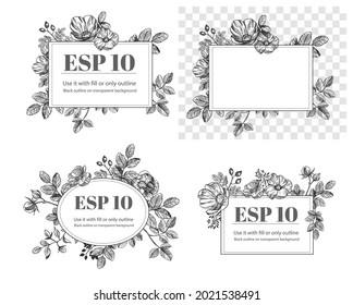 Floral hand drawn elements. Flowers set. rose hip vector illustration. Black outline