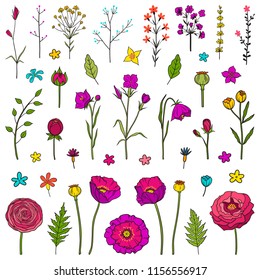 Floral hand drawn elements. Set of different flowers and leaves. Boho style theme. For printing on sticky paper and for use in your design. Colorful bright vector illustration. Isolated on white