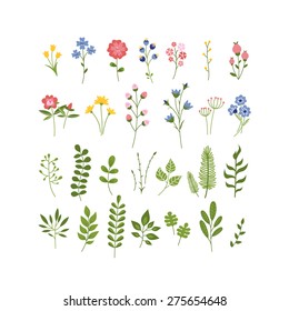 Colección Herbario Dibujado A Mano Floral. Juego de vectores de flores, bayas y hojas. Ilustración de verano para tarjetas, saludos, pancartas, San Valentín, tarjetas de cumpleaños, invitaciones o web.