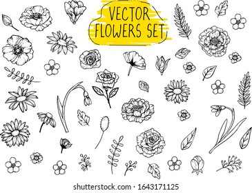 Floral hand drawn illustrations set. Flower collection: poppy, daisy, chamomile, peony, snowdrops. Doodle style. Vector